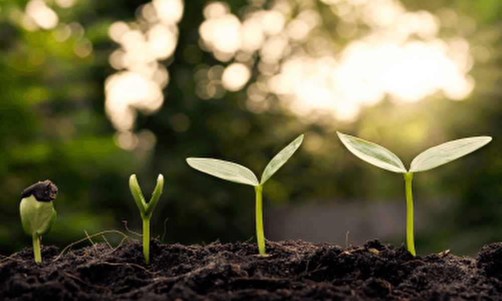 Sustainable meets comfort: een groene ervaring bij Hotel Parkzicht