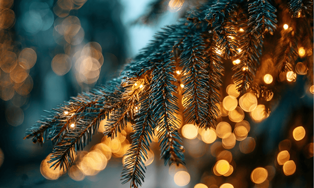 Kerstvakantie in Eindhoven: dit wil je niet missen tijdens je verblijf bij Hotel Parkzicht