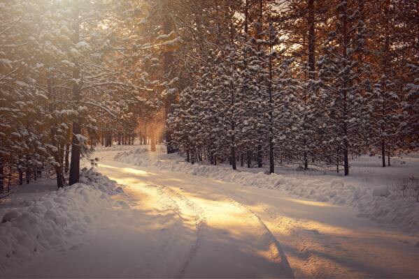 Winterarrangement
